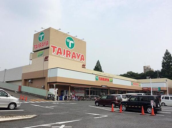 画像17:TAIRAYA奈良橋店 1078m