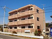 外観・土地