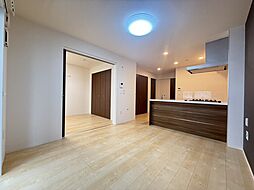 ルミナスケイポート 101