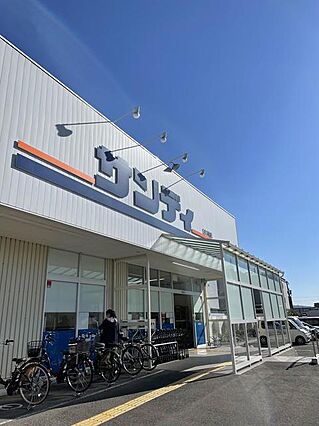 プリムローズ二色3_周辺_1
