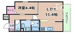 ロイジェント玉川 2階/-