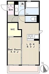 アムール(横山3) 1階1LDKの間取り