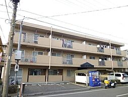 アムールチュラ