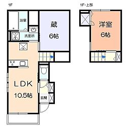 シエル　ブリランテ 1階/-