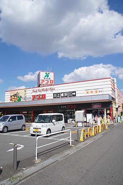 画像27:食品館アプロ堺水池店 1160m