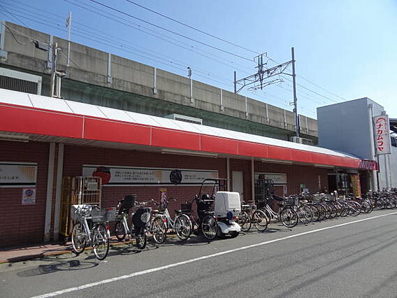 ジーエス アドレット市川_周辺_8