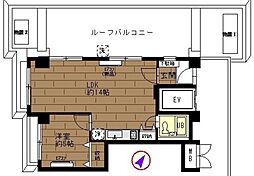 日興パレス渋谷 5階1LDKの間取り