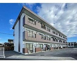 パープルティアラ