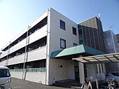 イーストタイガーのイメージ