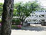 周辺：小金井市立第一中学校 1065m