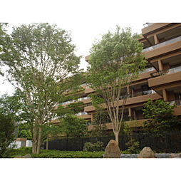 広尾ガーデンフォレスト　Ｅ棟 308