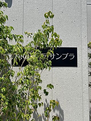 南の風ラ・サンブラ_その他_1