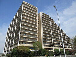 ワンズシティ 1411