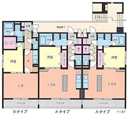 M.MAISON 2階/-