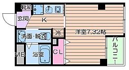 プリマヴェーラ今津 3階/-