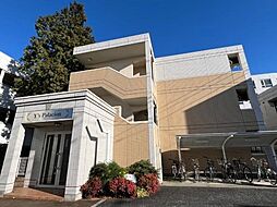 ワイズ パラシオン