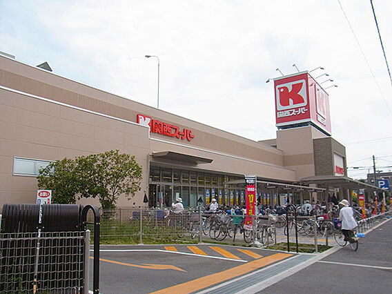 エルサチ_周辺_3