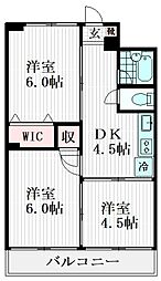 赤羽ハイコーポ 7階3DKの間取り