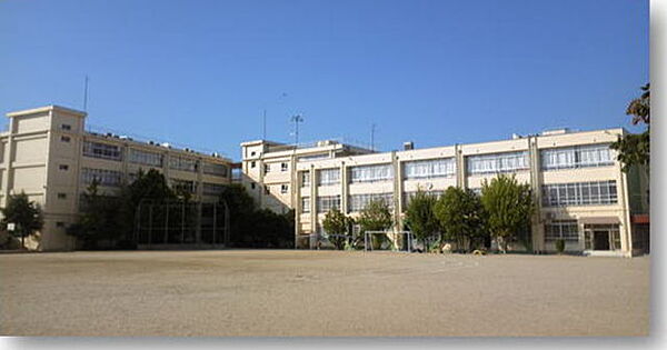 画像29:高石市立取石小学校 982m