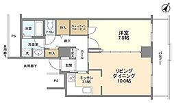 トルナーレ日本橋浜町 36階1LDKの間取り