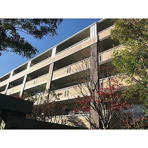 ホームズ ドレッセ鷺沼の杜プライムフォレストｄ棟 3ldk 6階 34 賃貸マンション住宅情報
