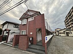 ゼフィランサス橋本