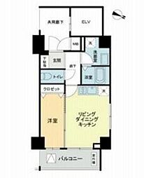 プレセダン板橋本町 7階1DKの間取り