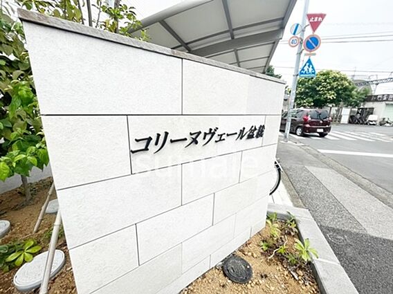 コリーヌヴェール盆栽_その他_2