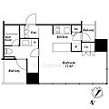 THEROPPONGITOKYOSUPERIORRESIDENCE5階25.9万円