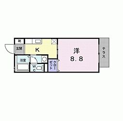 サンライト上桂 1Kの間取図画像