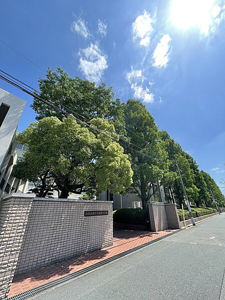 画像28:私立大阪芸術大学短期大学部 415m