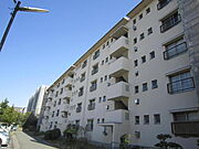 金剛駅より徒歩4分 3階 築56年1ヶ月の賃貸物件