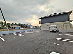 パーシモン グレイス