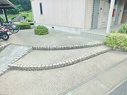6 / 14