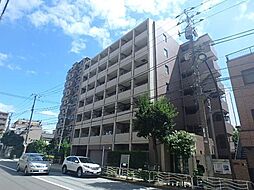 イーリス ニシオオジマ 203