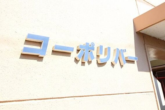 コーポリバー_その他_0