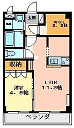 コンフォース　マンテン　レジデンス 1階1LDKの間取り