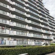 北野田駅より徒歩6分 8階 築38年1ヶ月の賃貸物件