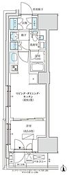 パークアクシス品川天王洲アイル 1LDKの間取図画像