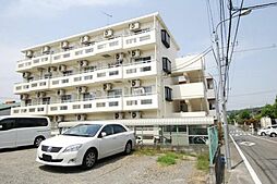 ラベンダーライト