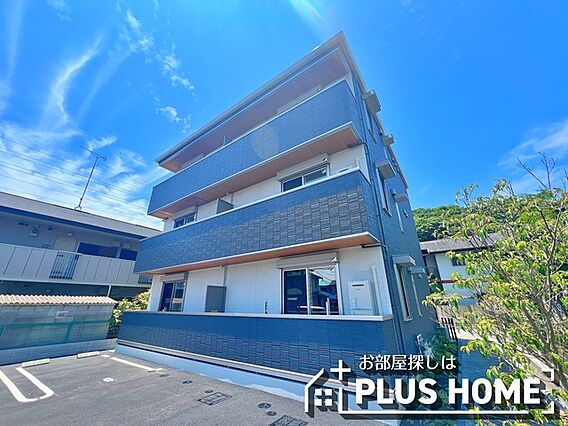 ナピカII_トップ画像