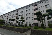 油山団地３棟 5階 築52年11ヶ月の賃貸物件
