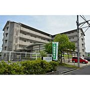 エル・セレーノ府中 2階 築18年9ヶ月の賃貸物件