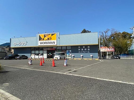プリムローズ二色3_周辺_0