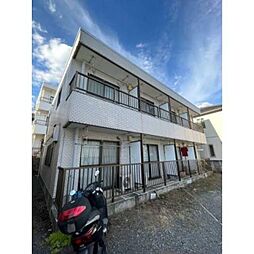 ホワイトプラム