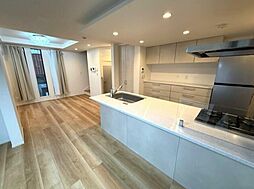 東京メトロ南北線 白金台駅 徒歩8分の賃貸一戸建て 1階3LDKのリビング/ダイニング