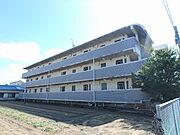 グリーン筥松 1階 築33年8ヶ月の賃貸物件