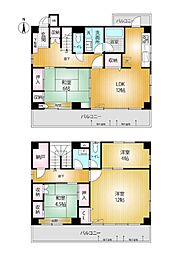 シャングリラ元町 4SLDKの間取図画像