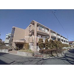 サンフラワー桜台