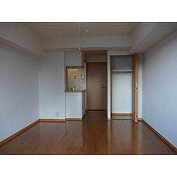 カーネリアンコート.T・S